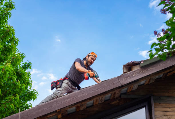 Best Sheet Metal Roofing  in Sylvan Lake, MI